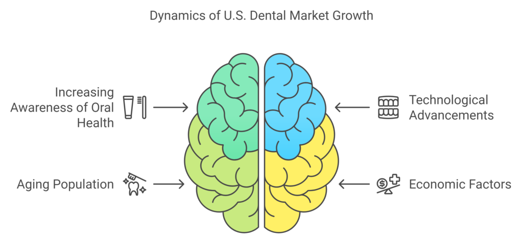 U.S. Dental Market to Hit $260 Billion by 2033: What's Driving the Growth?